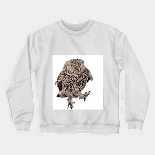 Marching Owl Crewneck Sweatshirt